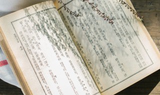 春居古诗意思是什么（春居古诗意思是什么）