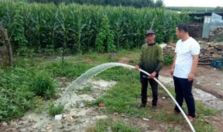 水浇地的意思水浇地什么意思（水浇是什么意思）