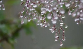 我心深深处中有千千结什么意思（我心深深处 中有千千结什么意思）