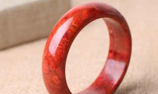 红珊瑚手镯的鉴别方法 红珊瑚手镯的鉴别方法可以烧吗?