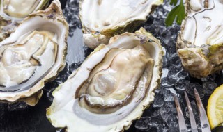 生蚝保存的方法有哪些（生蚝保存的方法有哪些呢）
