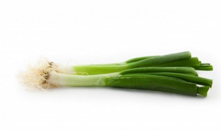 新鲜大葱怎样储存 新鲜大葱怎样储存时间长