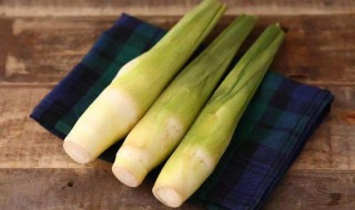 茭白保存方法是什么(茭白的保存方法)