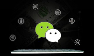 微信群投票怎么弄(微信群投票怎么弄?)