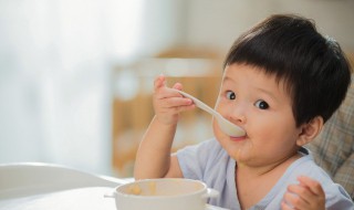 宝宝牛肉粥的做法大全（宝宝牛肉粥的做法大全视频）