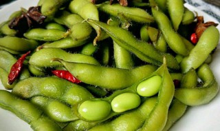 五香毛豆的做法大全（五香毛豆的做法大全窍门）