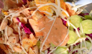 鸡肉沙拉的做法大全（鸡肉沙拉的做法大全窍门）