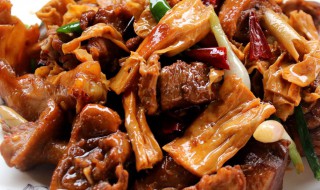 炆鸭子的做法大全 炆鸭子的做法大全窍门窍门