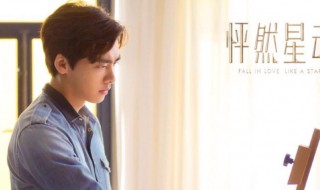 苏星宇是什么电视剧（苏东宇是什么电视剧）