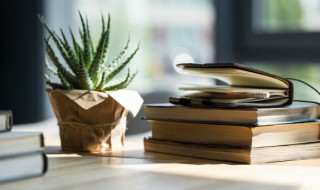 成语强本节用是什么意思(强本节用的意思)