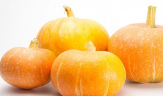 如何留南瓜籽做种子 南瓜籽怎么留种子