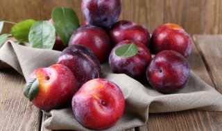 李子和西梅的区别是什么（李子和西梅的区别是什么啊）