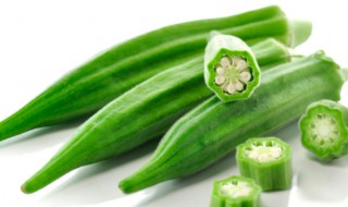 秋葵怎么育苗（秋葵怎么育苗最好）