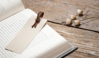 成语舌锋如火是什么意思 成语舌锋如火是什么意思啊