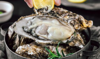 牛奶和生蚝能否一起吃（生蚝和牛奶可以一起吃吗）