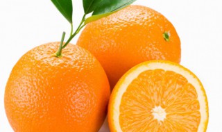 橙子籽怎么种小盆栽 橙子怎么种植小盆栽