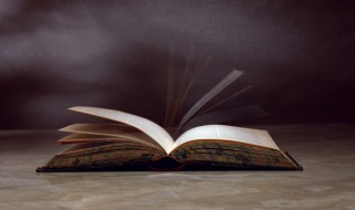 成语有才无命是什么意思 什么命无什么成语