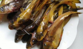 角角鱼怎么做好吃（红烧黄辣丁鱼的做法视频）