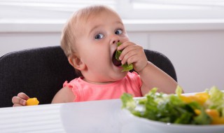 宝宝猪肝粥怎么做 为什么不建议给婴儿吃猪肝粉