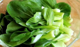 水煮青菜怎么做好吃 怎么煮青菜
