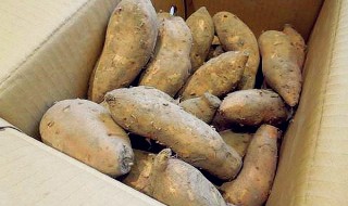 白薯怎么做好吃(红薯的多种做法大全)