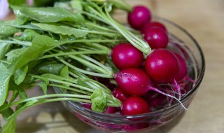 萝卜婴怎么做好吃（罗卜婴怎样做才好吃）