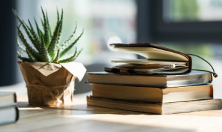 寸草春晖成语解释（春草寸晖的解释）