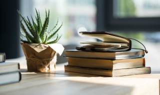 珑怎么读（珑骧）