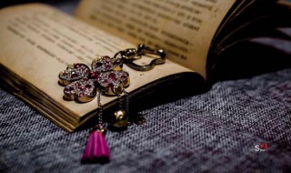 鼷怎么读(鬣怎么读)