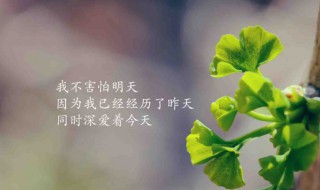 激励自己拼搏的句子 激励自己努力拼搏的短句