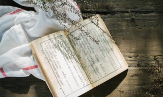 商量商量类似的词语（商量商量类似的词语ABAB）