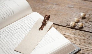 草房子主要人物介绍 草房子主要人物介绍桑桑