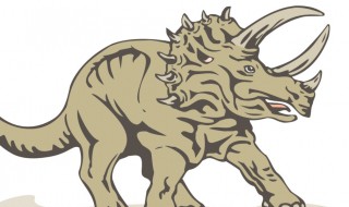 三角龙的外形特点 三角龙的外形特点简写