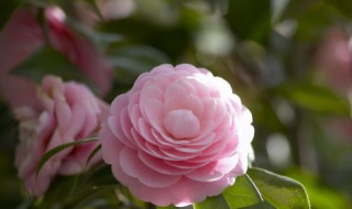 三月祝福语简短 三月祝福语简短客户