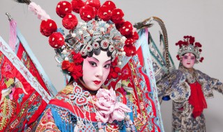 生旦净丑什么意思(家传耕读,乘闲时扮作生旦净丑什么意思)