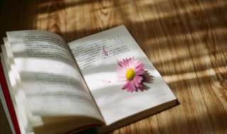 持之以恒什么意思 导之以行持之以恒什么意思