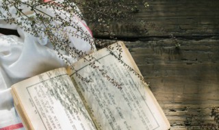 双文是什么意思(双文种是什么意思)