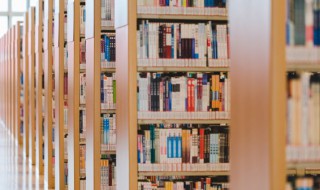 软锰矿是什么意思（软锰矿是什么意思啊）