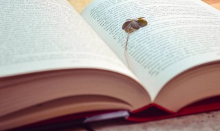 姓甚名谁的意思 姓甚名谁的意思和造句