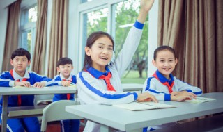 官赌是什么意思（赌场苛官是什么意思）