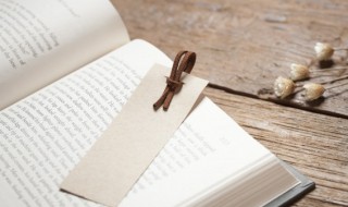 改弦更张是什么意思（黄粱美梦是什么意思）