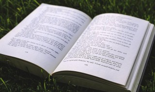 硕大无朋什么意思 硕大无朋的朋什么意思