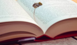 瓮中捉鳖什么意思（瓮中捉鳖!）