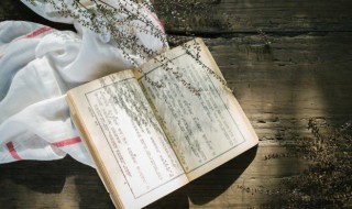 兄弟阋于墙什么意思 兄弟阋于墙是什么意思?