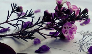 柔情似水的意思（流芳百世的意思）