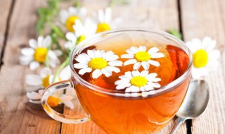 野菊花怎么炮制 野菊花怎么炮制能喝吗