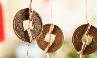 申时五行属什么 申时五行属什么动物