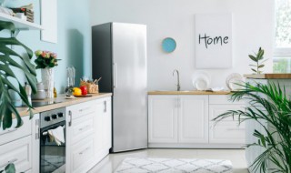 家中鼻涕虫怎么产生的(鼻涕虫家里怎么会有)