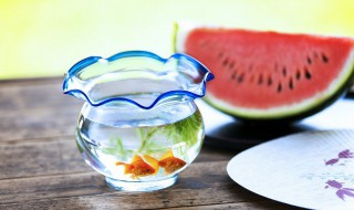 锦鲤鱼烂尾烂鳍怎么治 锦鲤鱼烂尾烂鳍怎么治视频