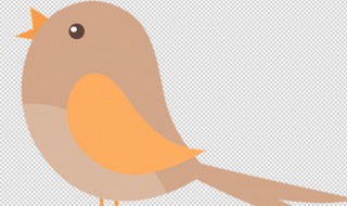 十姐妹鸟怎么养（十姐妹鸟怎么养才能不吃自己的蛋）